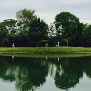 Meet your Posher, Flowers